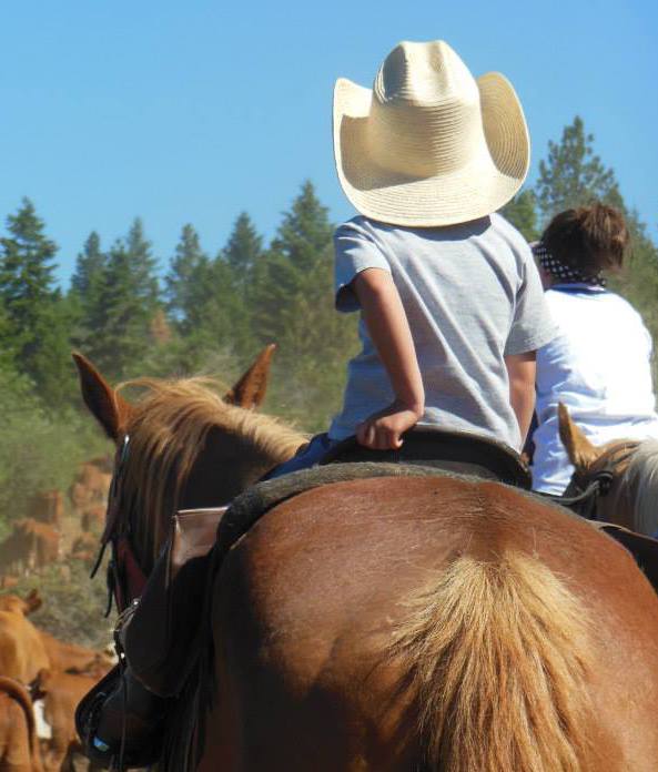 Pre-teen riding horse